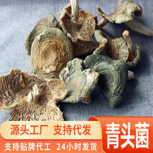 Դ�^�S��һ�����l���^����؛250g���^������خaҰ�����㹽Ģ���