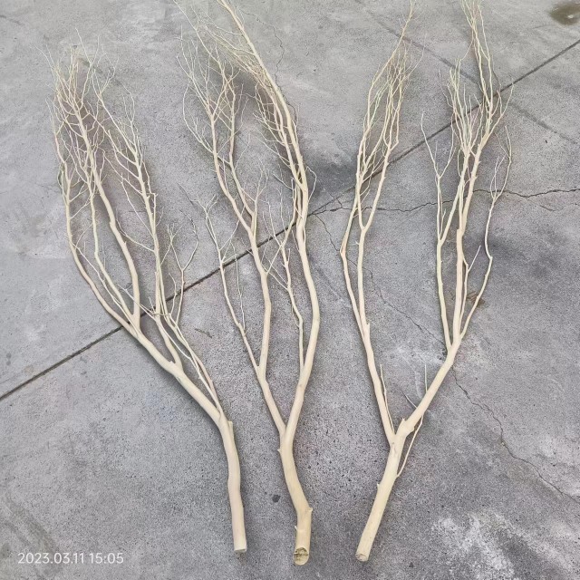 。Arquivos de flores de ramas secas de madera tronco artístico ramas secas maderas secas de madera secas descorpeadas modelado percha de pared paquete de tronco