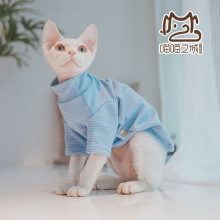 2023年秋季加厚保暖无毛猫纯棉德文卷毛猫宠物猫衣服简约休闲长袖