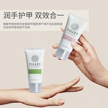 Tilley�����M������o��˪�o��˪��֦��Ȼ��ߙn�̝�����ָ������