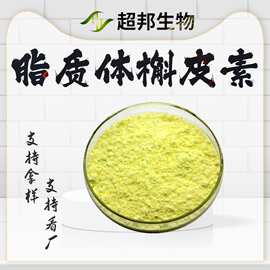 脂质体槲皮素50%-80% 纳米包裹槐米提取物 厂家供应现货包邮