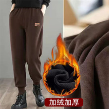 �ӽqѝ��Ů2025�ﶬ���¿��\��ѝ�������e�r�й���ѝ�������_�lѝ