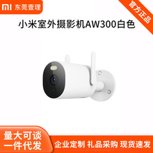 СXiaomizCAW300ȫҹҕz^2Komˮ