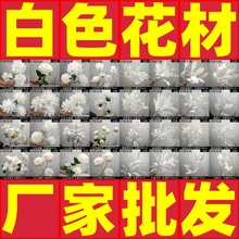 �S��ֱ�N��ɫϵ���滨ɭϵ�ٻ���c��ˇ���Ļ�Y�ìF�������b�