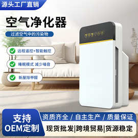 空气净化器家用除甲醛除异味静音低噪负离子净化机源头工厂贴牌