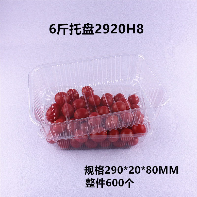 직사각형, 직사각형 3kg 팔레트 2920H8 전체 600개, 애완동물