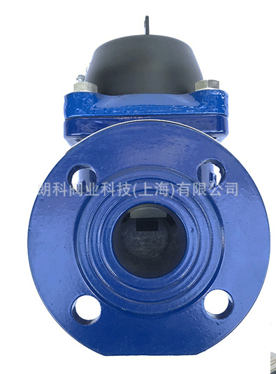 工业污水表干式可拆式冷水表防冻污水冷水表污水表