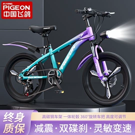 儿童自行车;儿童滑板车;儿童平衡车