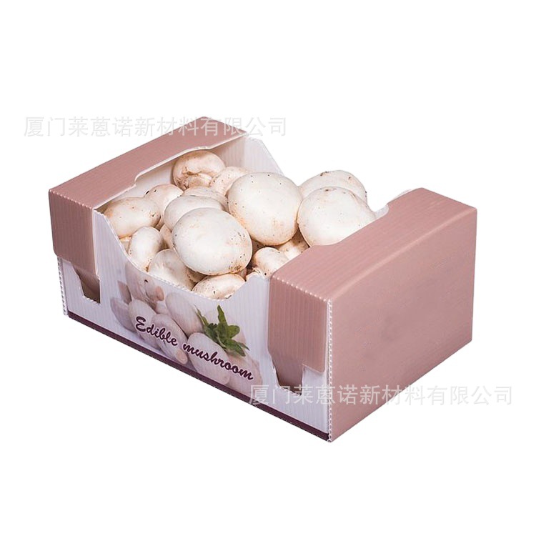 Caja de frutas y verduras de placa hueca pp personalizada plegable impermeable frutas y verduras frescas de transporte de cadena de frío Caja de plástico de calcio image 29