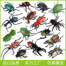 �羳���挍�Ą���ģ����Ǵ��x�ڻ��،m���~����Lꪴ��x�[��