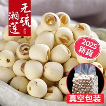 【新莲】湖南特产湘潭白莲子干货去芯莲米 500g无芯取芯磨皮湘莲