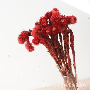 �M����ʯ���r�պ�ѩɏ�ɻ�������������ֶY��DIY�������޲廨