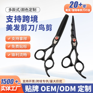 �S�����l��ɫ����6���B�� ���l���l����ƽ�������b ֧�ֿ羳
