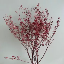 鲜花花艺制品;干花;永生花
