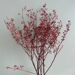 小米果尤加利果永生花干花插花吸色家庭装饰婚庆ins风办公室花艺