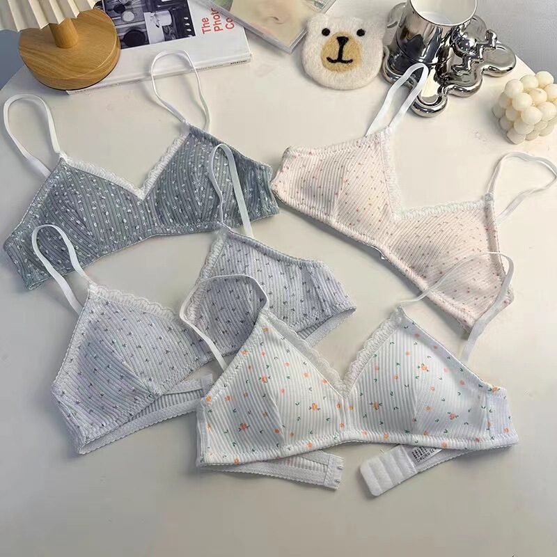 Flat-chest Girl's Cute Print Underwear Women's Non-steel Rings Breathable Small Chest Push-up Student Bra New Style