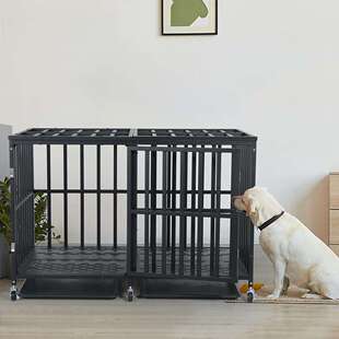 �����д���Ȯ���Î��������ۯB�ⰲ�b���\