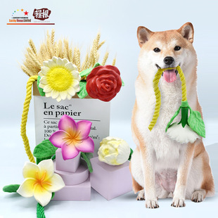 ���������ҧĥ��С����ë̩�����˽␞�l���z���Kë�q���ﹷ