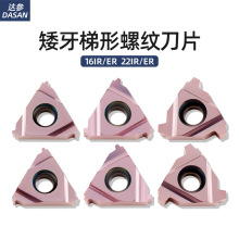 羳29ݼyƬ16ERSTACMEǔصƬtl