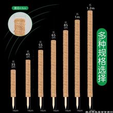 爬藤椰棕棒绿萝柱攀爬架植物支撑花架龟背竹支撑椰丝杆固定桩