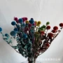 拍摄家居材料干花永生花