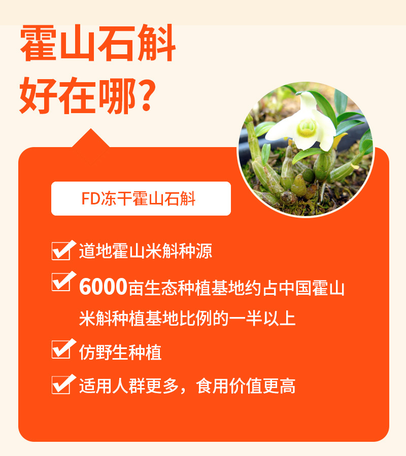 Huoshan Mi Hu Dendrobium (Dendrobium huoshanense) — Freeze-Dried Instant Herbal Vials, 8-Bottle Gift Box quality and texture