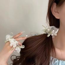 ��Ҋ����~С���´��黨��lȦŮ2025�¿���������Y�Rβ�^�K�l�