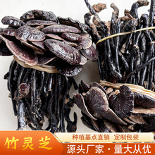 厂家批发竹灵芝干货赤灵芝煲汤500g中药材灵芝整枝黑草本