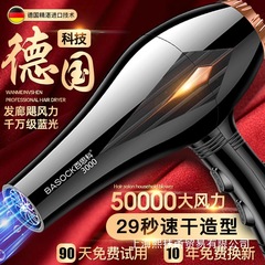 ドイツ電気ドライヤーハイパワーヘアサロン専用理髪店3000w速乾ヘアケア家庭用マイナスイオン静音