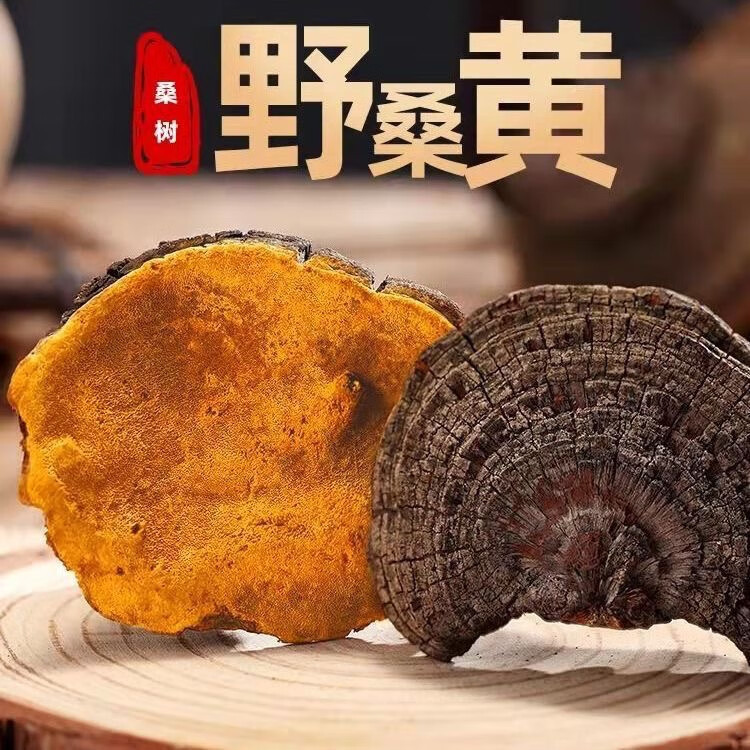 Sanghuang Mushroom 500g Dried Phellinus from Mulberry Tree Traditional Herbal Tea and Decoction Herb overview