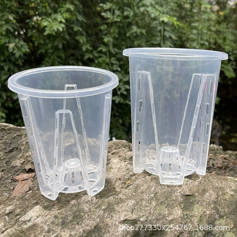 Новый прозрачный зеленый горшок с корнем для загущения