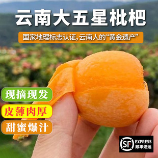 �����ͨ���������r5�������R����ˮ�����������Ĵ���֦������