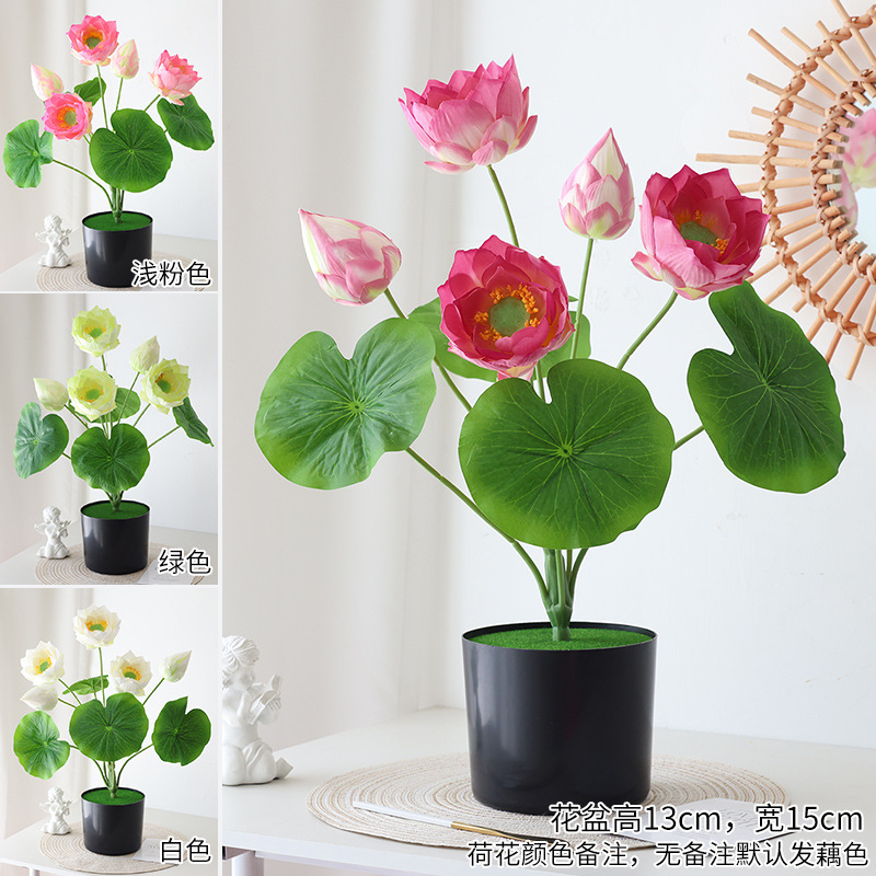 연꽃 꽃다발 1개 + 직선 검정색 플라스틱 화분