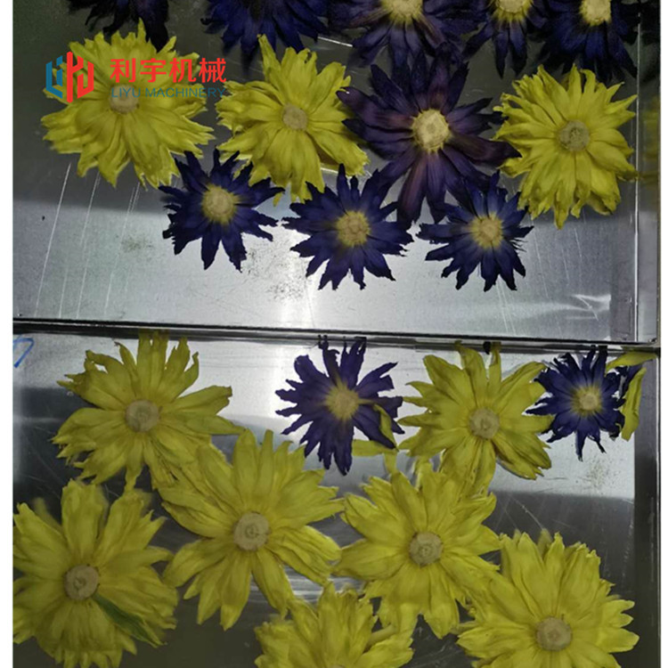 金银花玫瑰花冻干机 低温真空干燥机  宠物零食冻干设备利宇