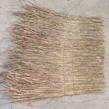 é����1*1�׼Ӻ�o��Ƭ�͹��L�������ľ�b�é����