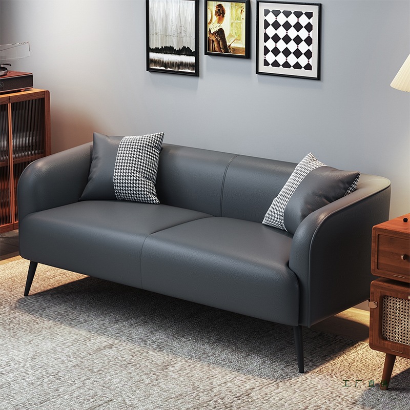 Small Apartment Exquisite Sofa Living Room Double Three-Seater Bedroom Small Simple Space-Saving Narrow Version for Shop Use Two