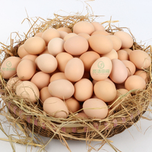 農家散養土雞蛋整箱50枚新鮮山林放養蟲草蛋五谷雞蛋30枚特價包郵