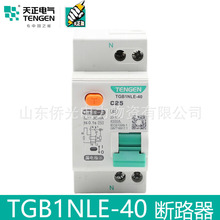 TENGEN/天正电器小型漏电断路器TGB1NLE-40C20C32A家用漏电保护器