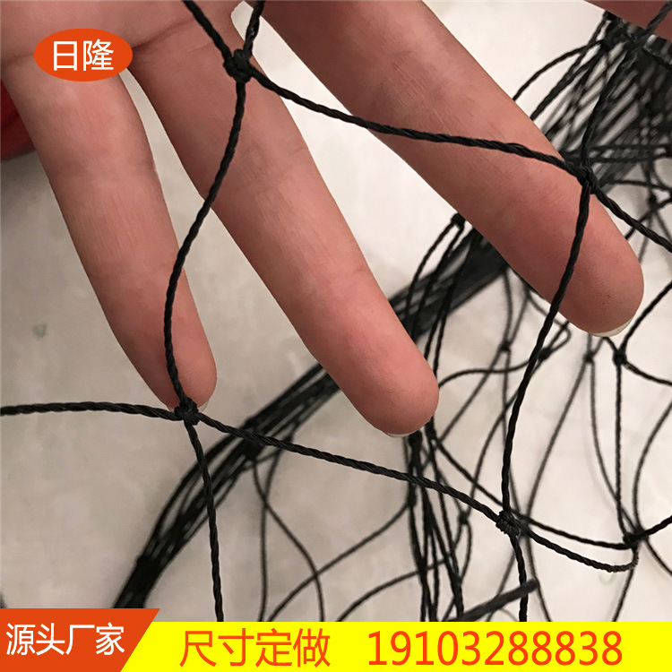 果园蔬菜爬藤网 涤纶植物网 牵牛花攀爬网