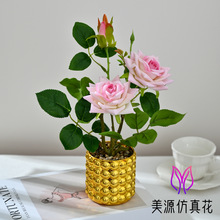 ���滨�q��õ��С�辰����Ҿ��҃Ȕ[���������컨����ֲ������