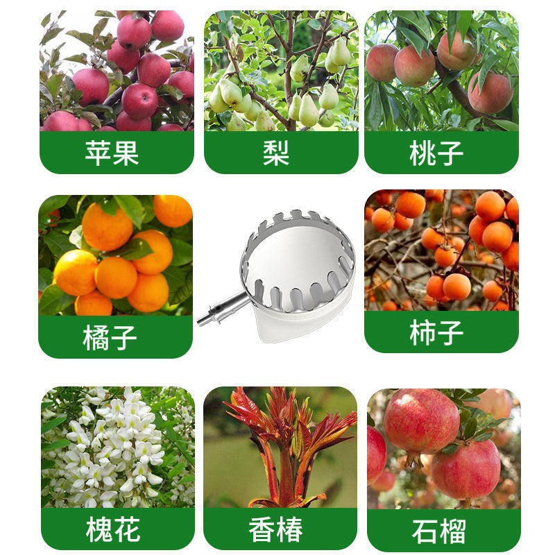 摘水果果子枇杷杨梅芒果李子桃子杏高空摘果器采果摘果伸缩杆