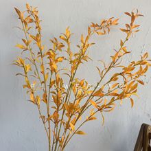 ʽѩ~ѿ֦~ѿG~҃Ĕz߷ֲSֱN