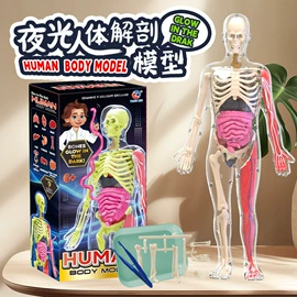 科教玩具;科学实验玩具;考古挖掘玩具