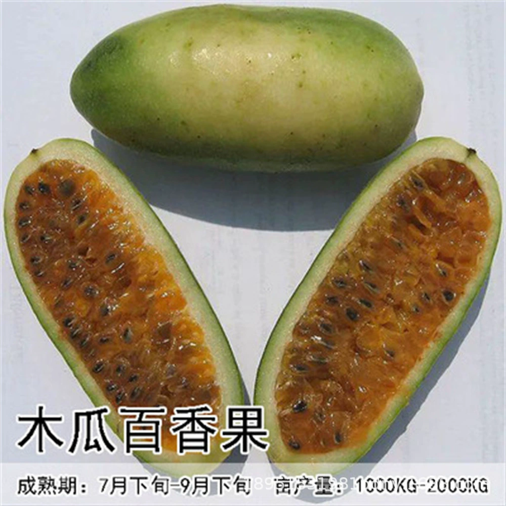 Дуриан маракуйя Рассада Золото маракуйя Рассада фруктового дерева Фиолетовый аромат Тайваньские фермеры Результаты четырех сезонов Восхождение Vine Результаты Южного балкона