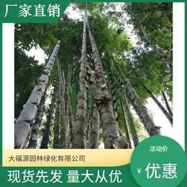 其他园林植物;水生植物;灌木