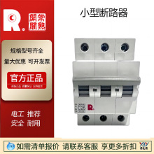 现货常熟开关小型断路器CH3N-3PC16漏电CH3LN-63直流CH3Z1PC6原装