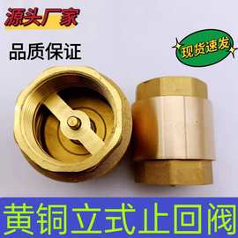 黄铜立式止回阀 弹簧逆止阀 单向阀门 表前止回阀铜杆芯螺纹批发