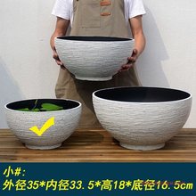 睡莲盆碗莲加厚塑料树脂花盆厂家直销简约铜钱草一叶莲荷花缸跨境