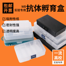 ���]western blot���w������ wb���w������ �ܹ����߽M����Ќ���