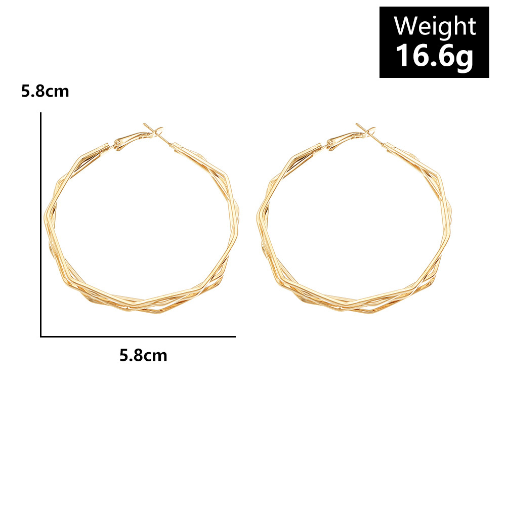 Geometric Plating Alloy No Inlaid Earrings display picture 2